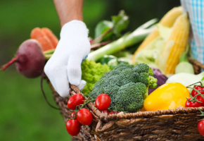 Basket filled fresh vegetables in hands of a man
