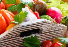 harvest of fresh seasonal vegetables in a wooden box, horizontal