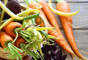 fresh organic vegetables in a basket