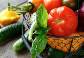 Collection of vegetables in the basket